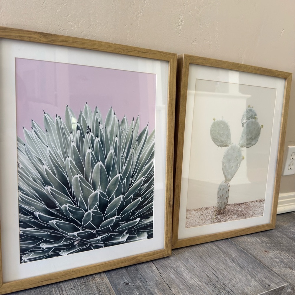 Framed cactus Art Prints - Green and White set of 2